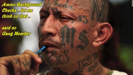 ms13ammo.jpg