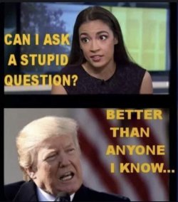 AOC-Trump-can-I-ask-a-stupid-question-better-than-anyone-I-know-funny-meme-political-FYI.com_.jpg