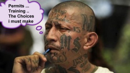 MS13-Choices.jpg