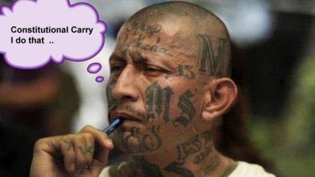 MS13 -carry.jpg