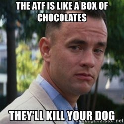 forrest-gump-atf.jpg