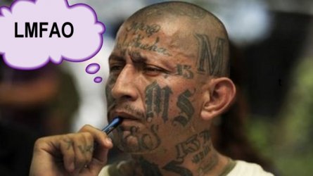 MS13-LMFAO.jpg