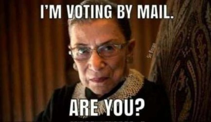 ruth-bader-ginsburg-voting.jpg