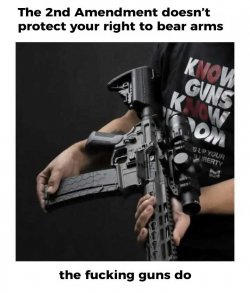 the-second-amendment-doesnt-protect-your-right-to-bear-arms.jpg