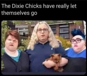 rachel-levine-the-dixie-chicks-have-let-themselves-go.jpg