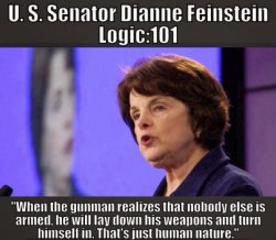 Diane Feinstein logic.jpg