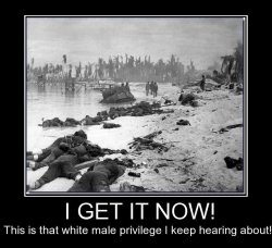 get-now-this-that-white-male-privilege-keep-hearing-about-ww-demotivational-posters-1506388858.jpg