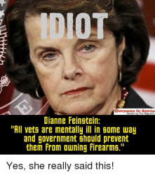 idiot-for-restoring-the-republic-dianne-feinstein-all-vets-are-5661139.png