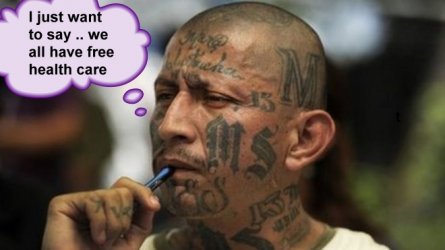 MS13-healthcare.jpg