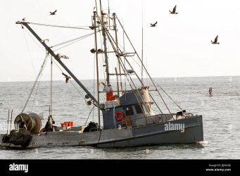 small-commercial-fishing-boat-trolling-on-ocean-BJNK68.jpg