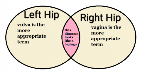 Venn Diagram corrected.png