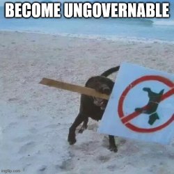 become ungovernable.jpg