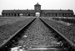 auschwitz-by-stevieboyuk.jpg