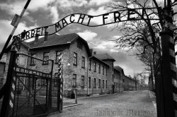 auschwitz07.jpg