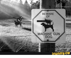beware-machine-gun-dog-28122419.png