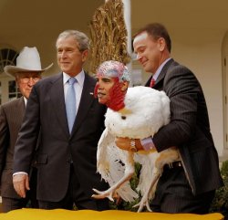 Barack-Obama-Turkey-Pardon--79112_zpsb529e5e3.jpg