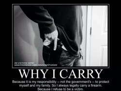 dd5fef6311c68c04f6d30a6e2023dd12--my-girl-conceal-carry.jpg