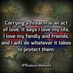 0cac2751b438a2d6e3636c84002dd403--family-protection-gun-quotes.jpg