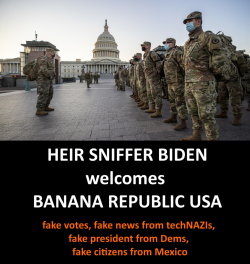 Biden_BananaRepublicUSA-970x1024.png