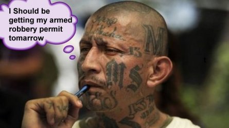 MS13-robberypermit.jpg