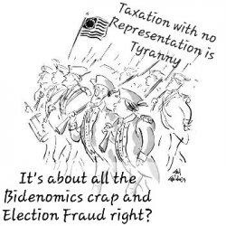 as-for-me-i-believe-in-no-taxation-with-or-without-representation-new-yorker-cartoon_u-l-pgpf680.jpg