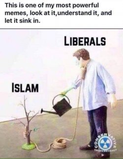 liberals and islam.jpg