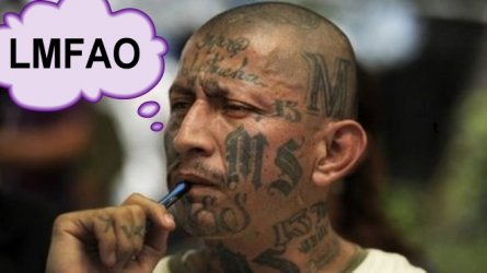 MS13-LMFAO2.jpg