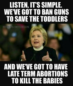 hillary-talking-about-guns.jpg