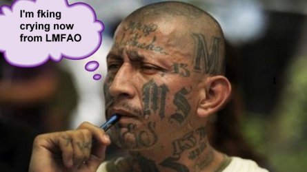 MS13-LMFAO4.jpg