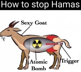 Hamas Goat.jpg