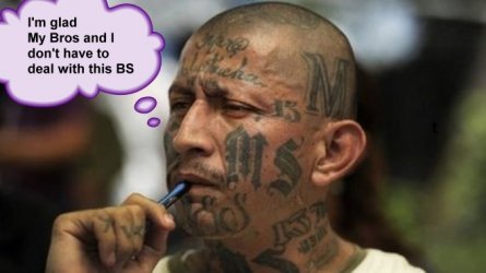 MS13-Laws.jpg