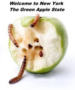 NY-GreenApple.jpg