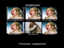 perfect-feminism-explained-feminism-explained-demotivational-posters-1510187402.jpg