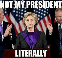 not-my-president-literally-hellnohillary-6953947.png