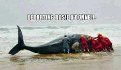 deporting-rosie-odonnell-27280828.png