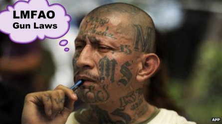 Ms13-gunlaws.jpg