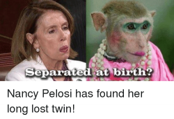 separated-at-birth-nancy-pelosi-has-found-her-long-lost-15718626.png