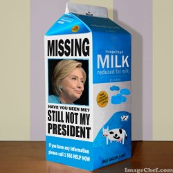 Milk Carton.jpg