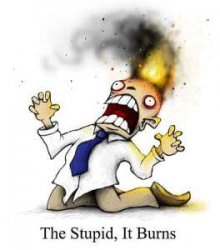 the_stupid__it_burns_by_plognark.jpg