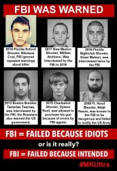 FBI 2.jpg
