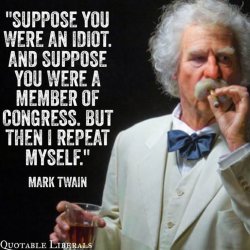 mark-twain-idiot-congress-56a753ae3df78cf77294a464.jpg