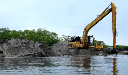 mangrove+dredging.jpg