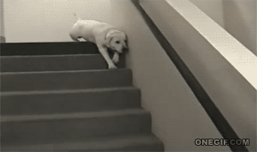 001 Lab Stairs.gif