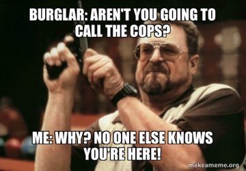 burglar-arent-you.jpg