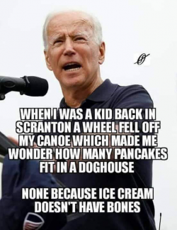 BIDEN A01.png