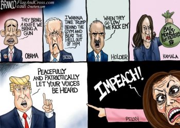 CARTOON Democrats endorse violence A01.jpg