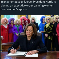 1739070916337.png