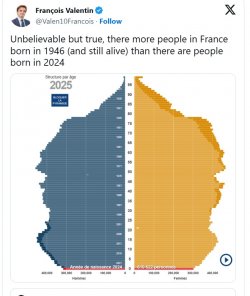 france demographics.jpg