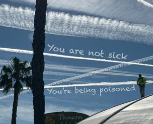 1740426594021.png