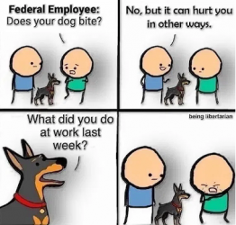 1740453532915.png